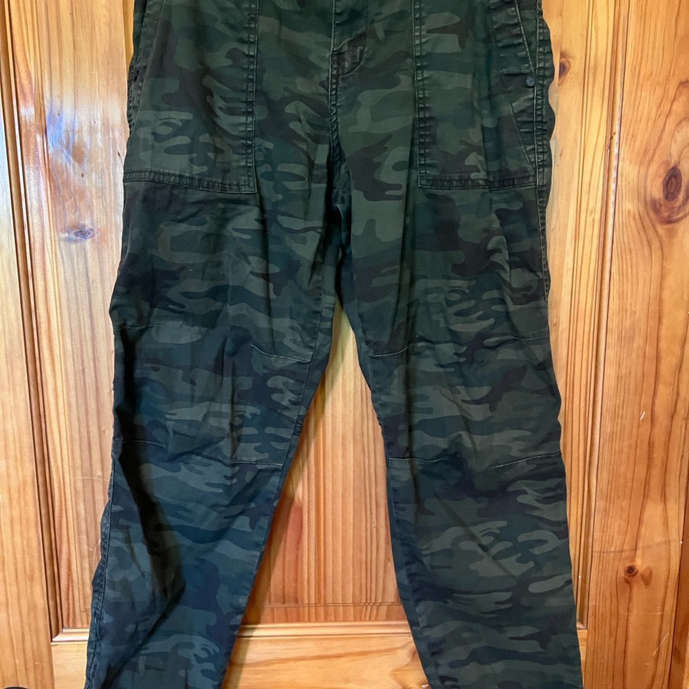 Sanctuary Green Cargo Pants Tactical Style
